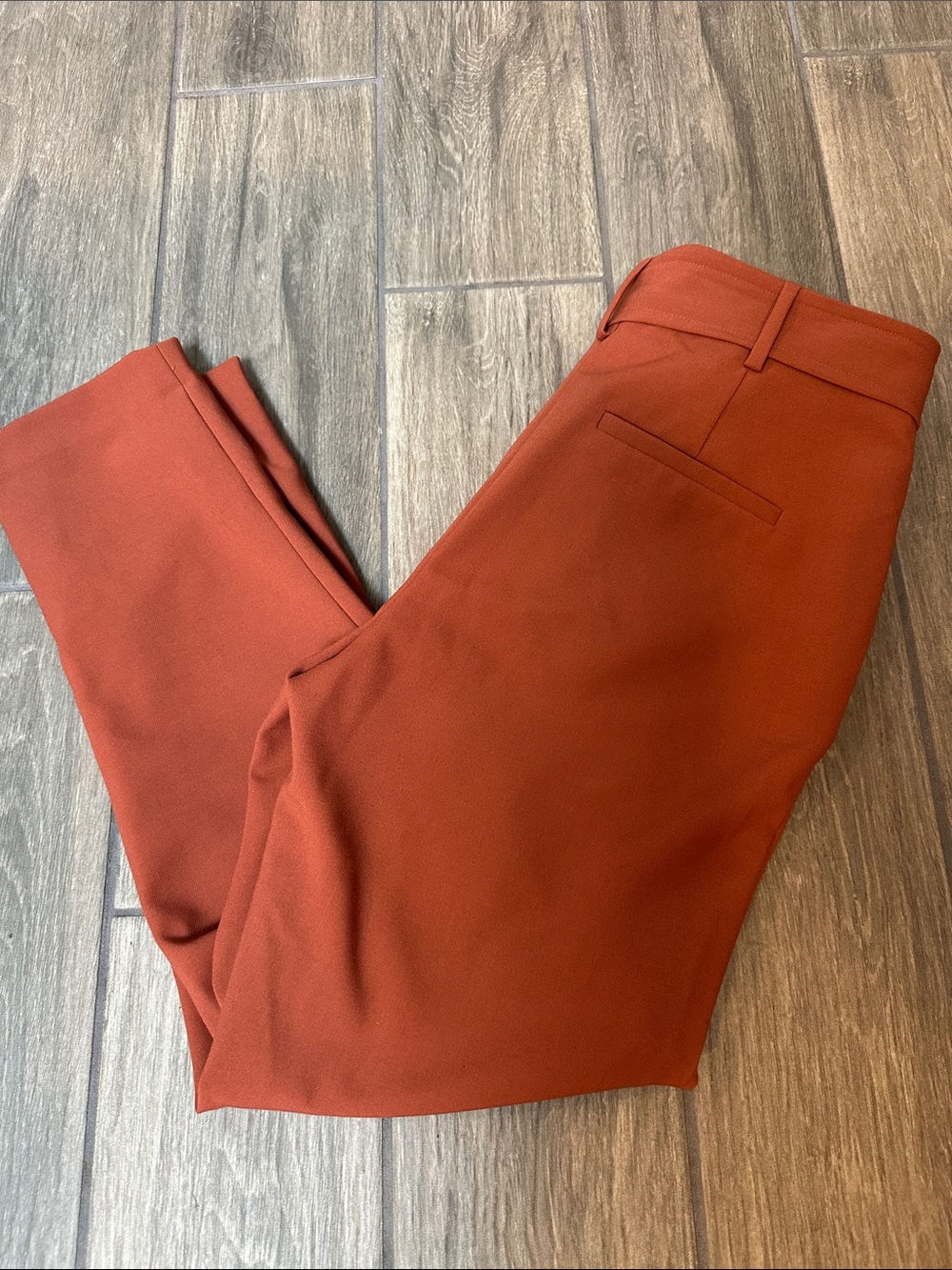 Halogen Women’s Rust Colored Straight Leg, Flat Front Slacks with Tie. Size 6.